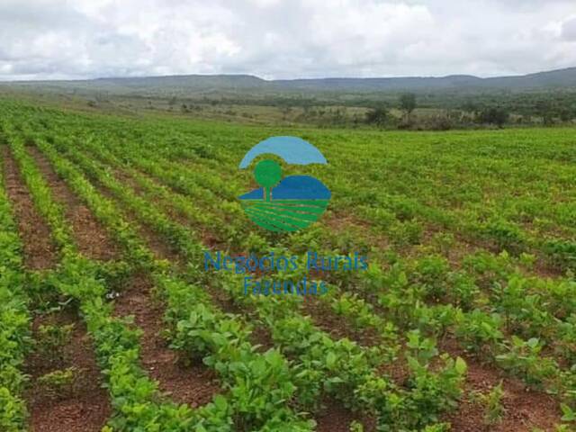 Fazenda para Venda em Uruaçu - 2