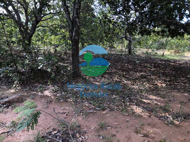 Fazenda para Venda em Uruaçu - 4