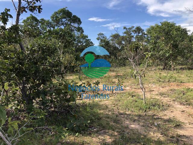 Fazenda para Venda em Uruaçu - 5