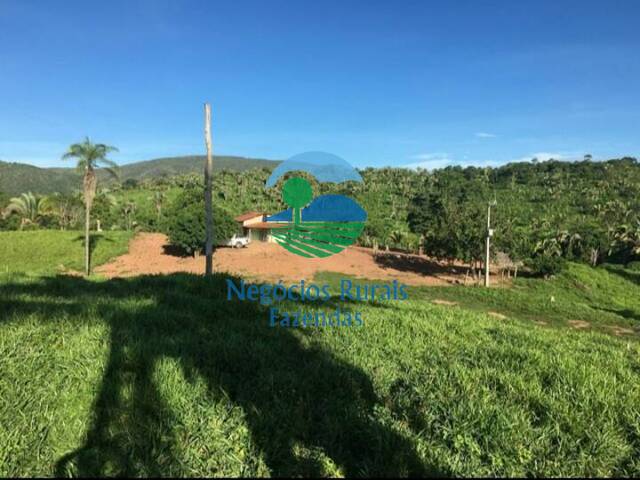 Fazenda para Venda em Cavalcante - 3
