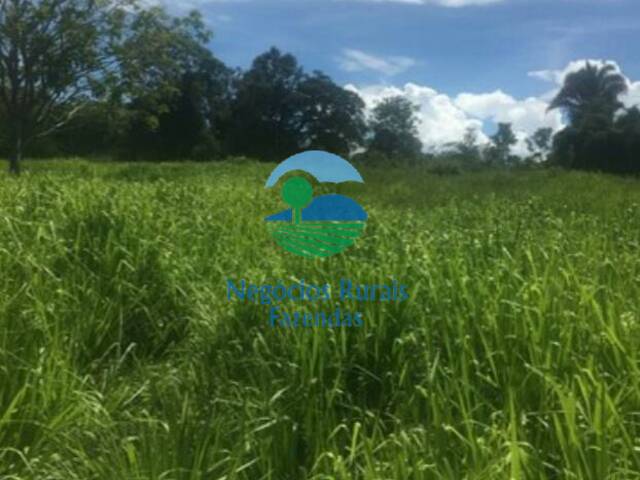 Fazenda para Venda em Cavalcante - 2