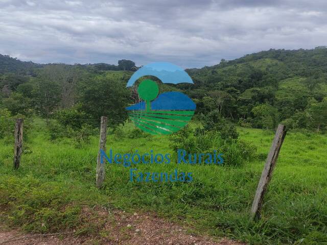 Fazenda para Venda em Uruaçu - 5