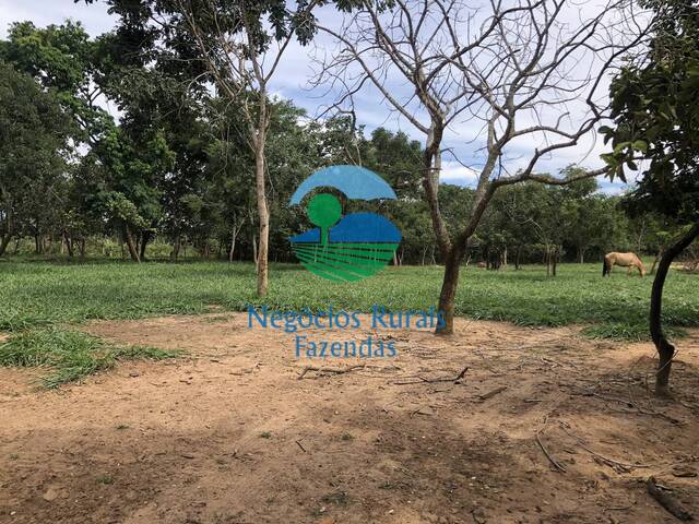 #180 - Fazenda para Venda em Uruaçu - GO - 2
