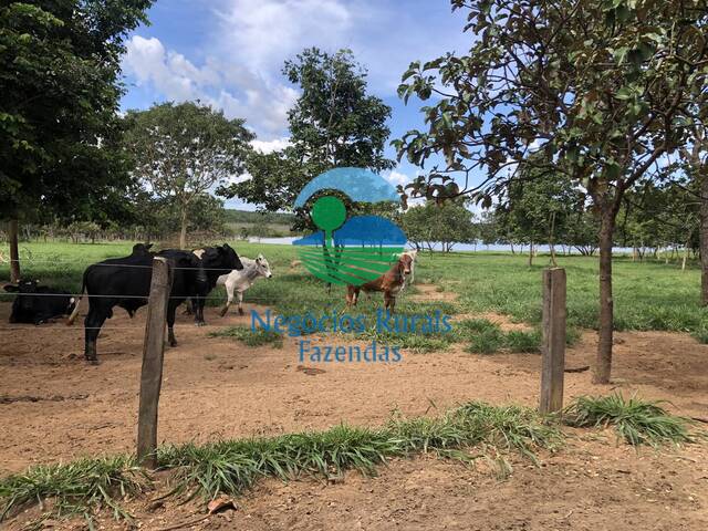 Fazenda para Venda em Uruaçu - 4