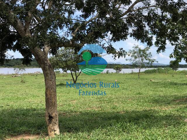#180 - Fazenda para Venda em Uruaçu - GO - 1