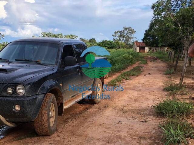 Fazenda para Venda em Uruaçu - 5