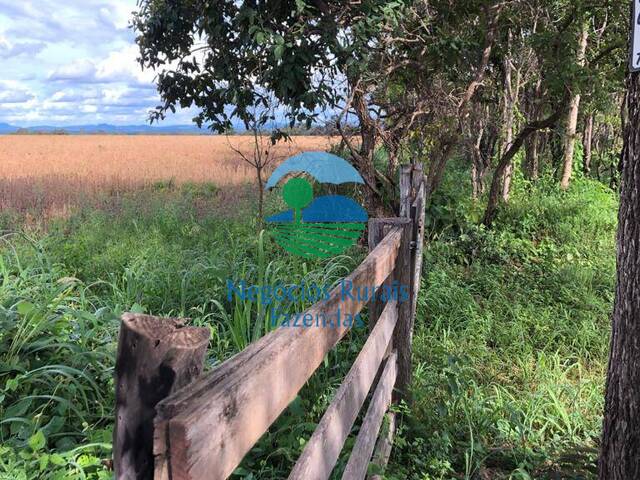 #183 - Fazenda para Venda em Uruaçu - GO - 1