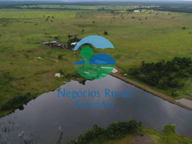 #184 - Fazenda para Venda em Dueré - TO