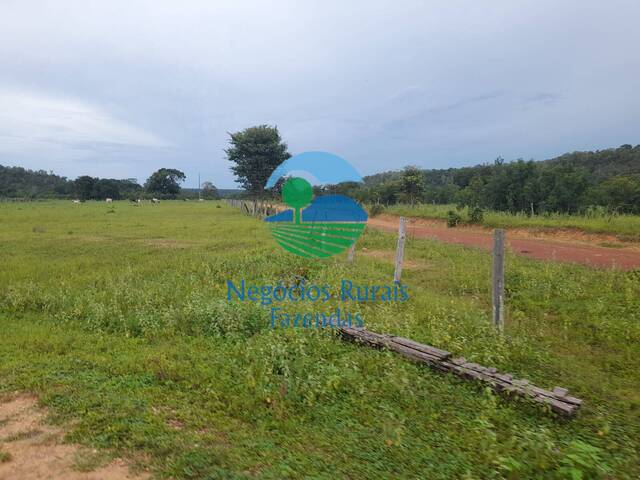 Fazenda para Venda em Goiatins - 3