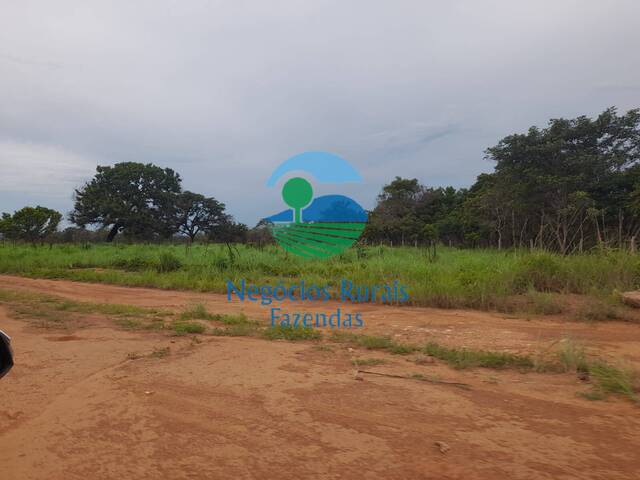 Fazenda para Venda em Goiatins - 2