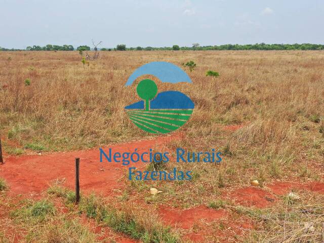 #186 - Fazenda para Venda em Palmeirópolis - TO - 1