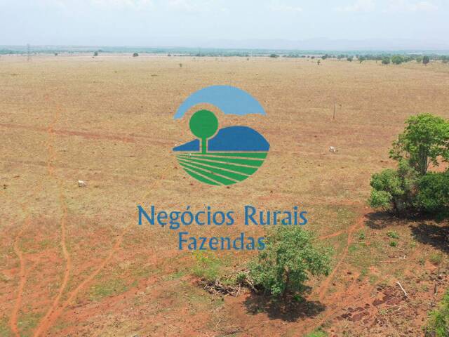 #186 - Fazenda para Venda em Palmeirópolis - TO - 2