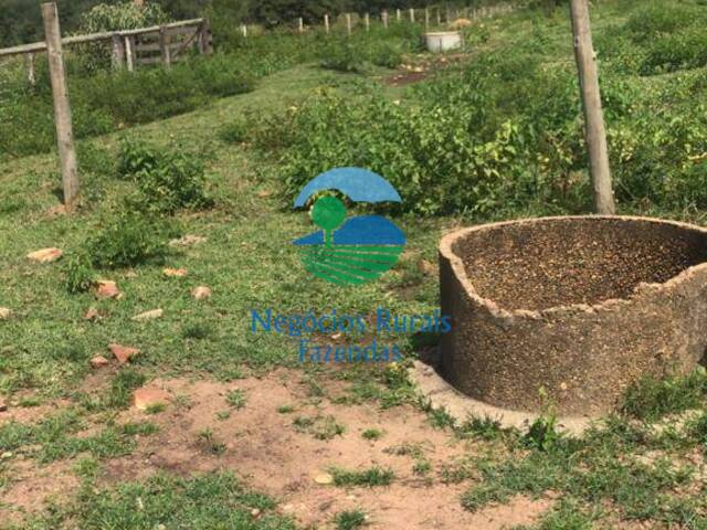 Fazenda para Venda em Caldas Novas - 5