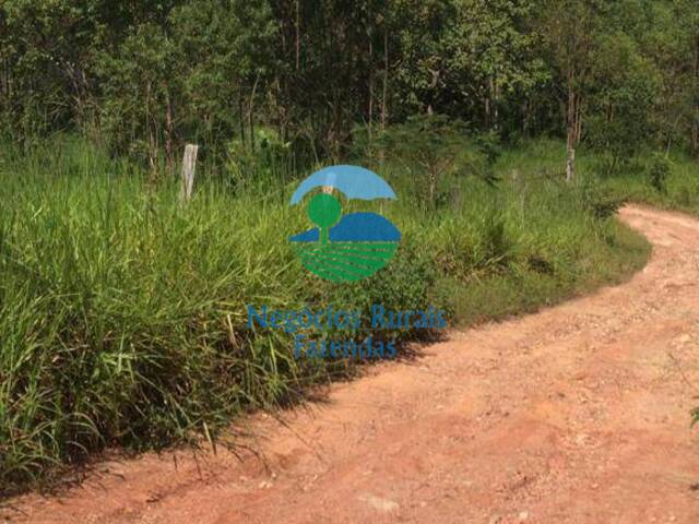 #191 - Fazenda para Venda em Caldas Novas - GO - 2
