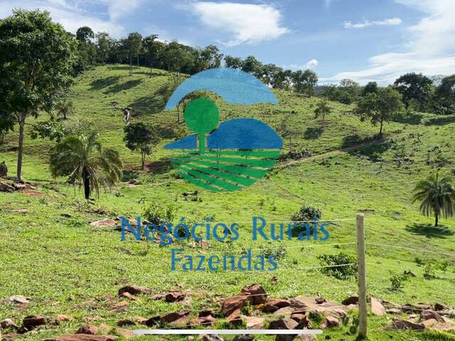 Fazenda para Venda em Itapuranga - 5