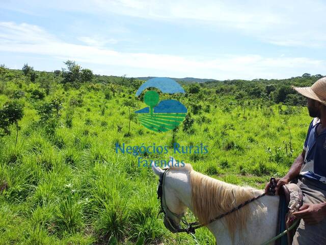 #196 - Fazenda para Venda em Paranã - TO - 3