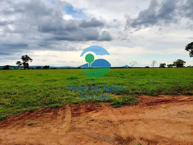 #196 - Fazenda para Venda em Paranã - TO - 3