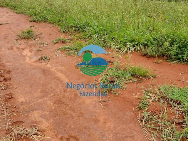 #196 - Fazenda para Venda em Paranã - TO - 2