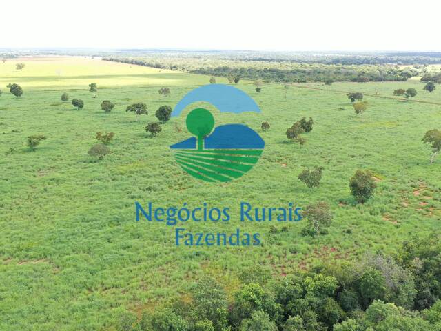 Fazenda para Venda em Novo Planalto - 5