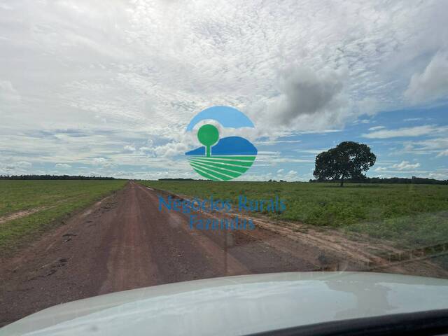 #204 - Fazenda para Venda em Figueirópolis - TO