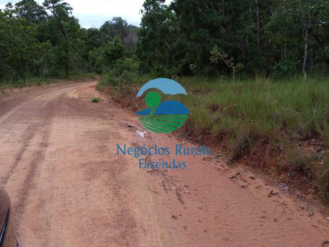 Fazenda para Venda em Taipas do Tocantins - 1