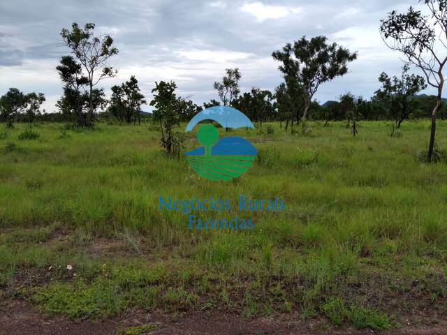 Fazenda para Venda em Taipas do Tocantins - 5