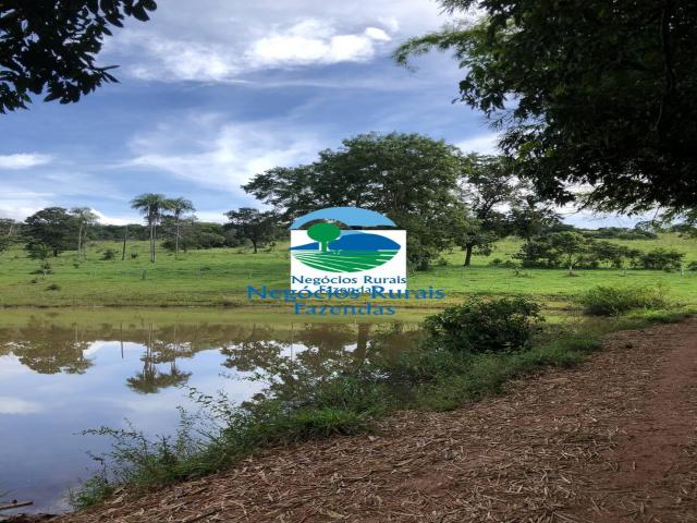 #207 - Fazenda para Venda em Uruaçu - GO - 1