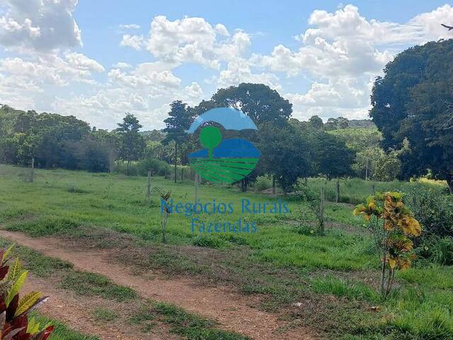 Fazenda para Venda em Uruaçu - 3