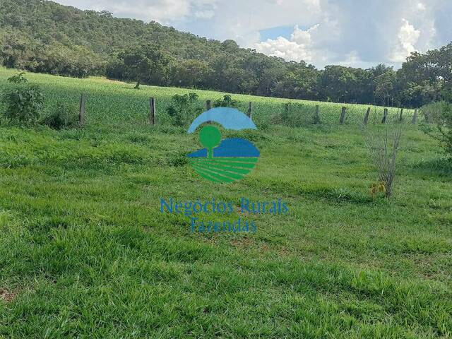 Fazenda para Venda em Uruaçu - 1