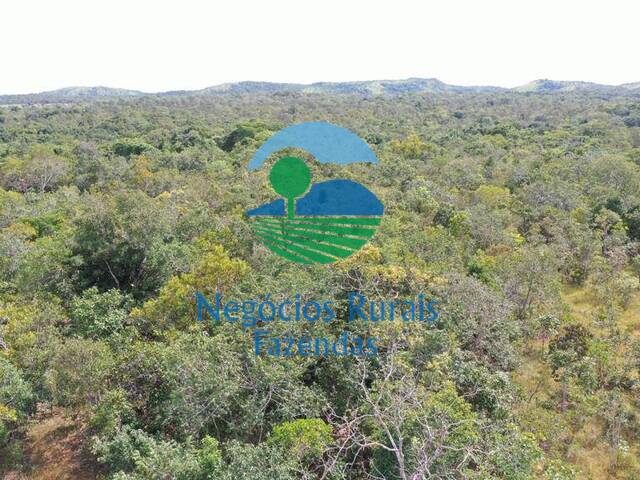 #210 - Fazenda para Venda em São Valério da Natividade - TO - 3