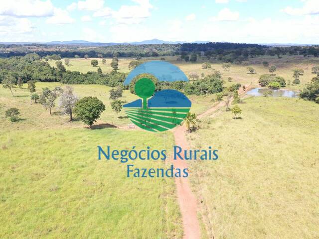 Fazenda para Venda em Mara Rosa - 1