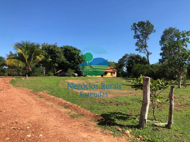 Fazenda para Venda em Conceição do Tocantins - 5