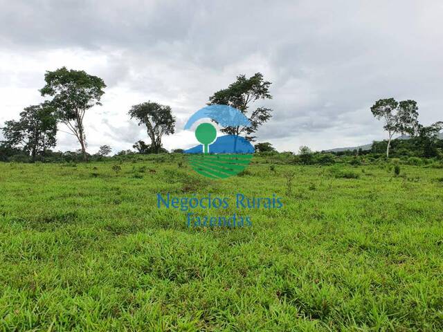 Fazenda para Venda em Campinaçu - 4