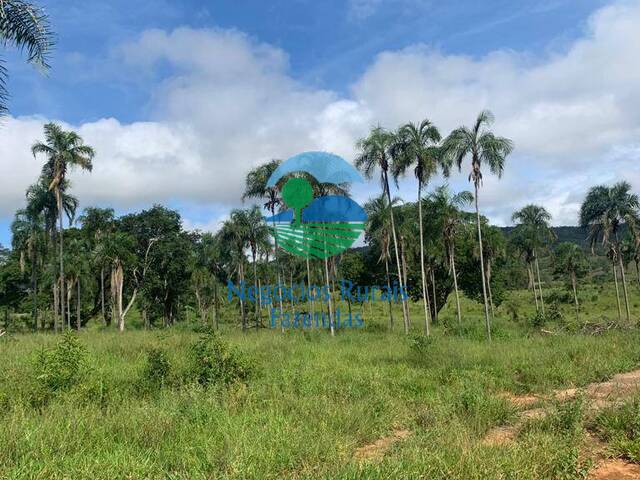 Fazenda para Venda em Campinaçu - 2