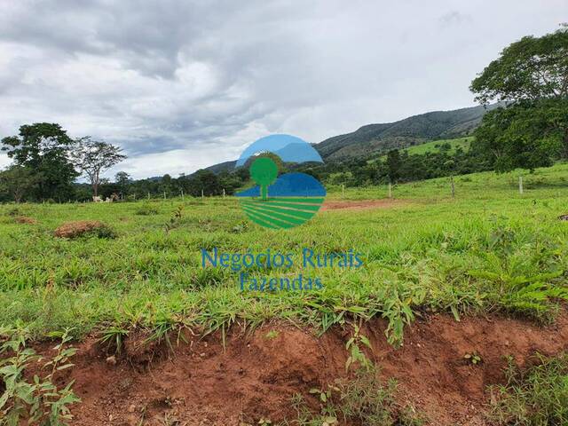 #216 - Fazenda para Venda em Campinaçu - GO - 1