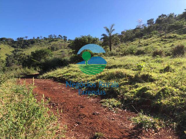 #214 - Fazenda para Venda em Barro Alto - GO - 2