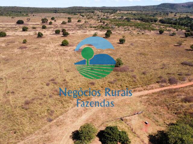#219 - Fazenda para Venda em Barra do Garças - MT