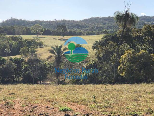 Fazenda para Venda em Uruaçu - 3