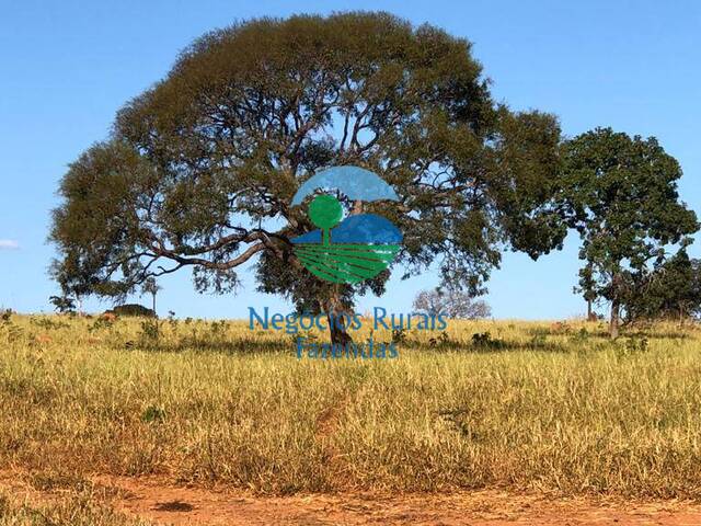 Fazenda para Venda em Uruaçu - 2