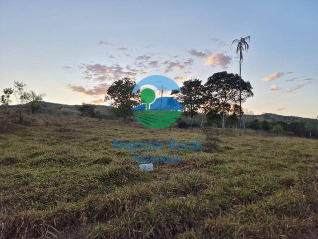 Fazenda para Venda em Campinaçu - 4