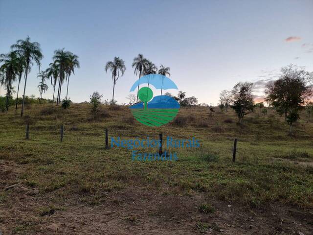 Fazenda para Venda em Campinaçu - 2