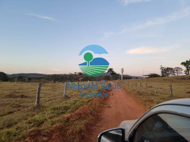 Fazenda para Venda em Campinaçu - 5