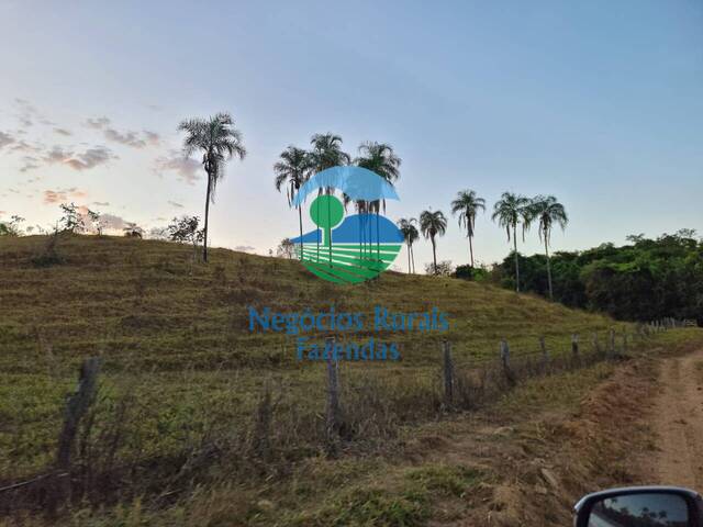 Fazenda para Venda em Campinaçu - 1