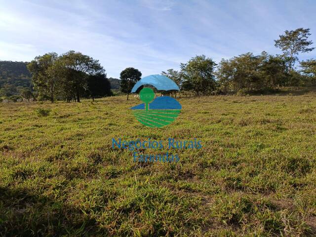 #224 - Fazenda para Venda em Uruaçu - GO - 1