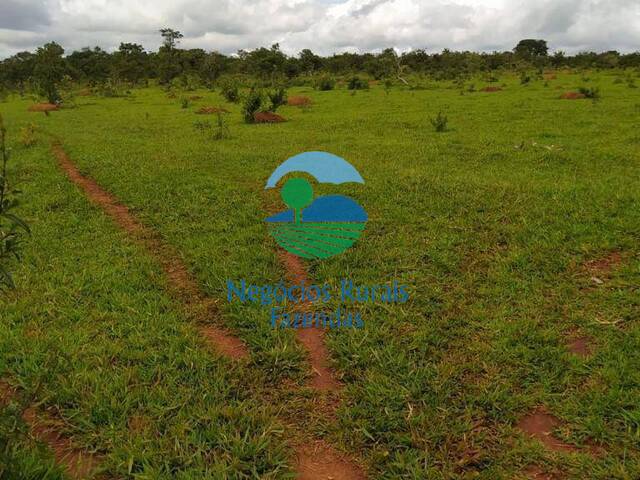 Fazenda para Venda em Santo Antônio do Descoberto - 2