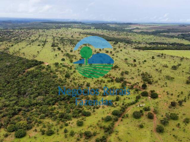 Fazenda para Venda em Santo Antônio do Descoberto - 3