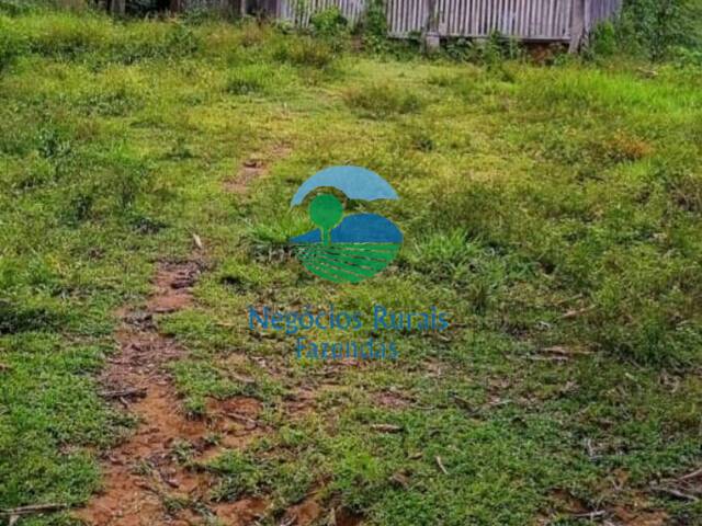 #227 - Fazenda para Venda em São Félix do Xingu - PA - 2