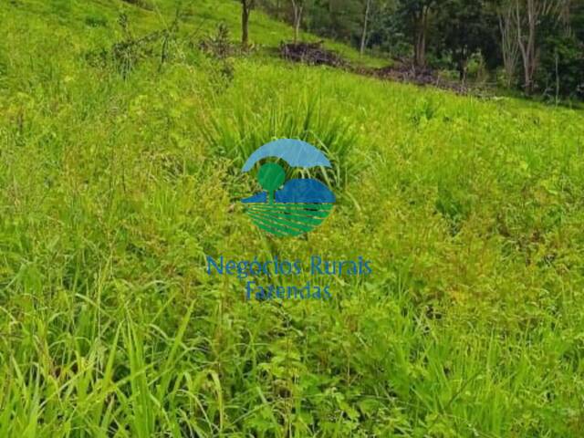 Fazenda para Venda em São Félix do Xingu - 3