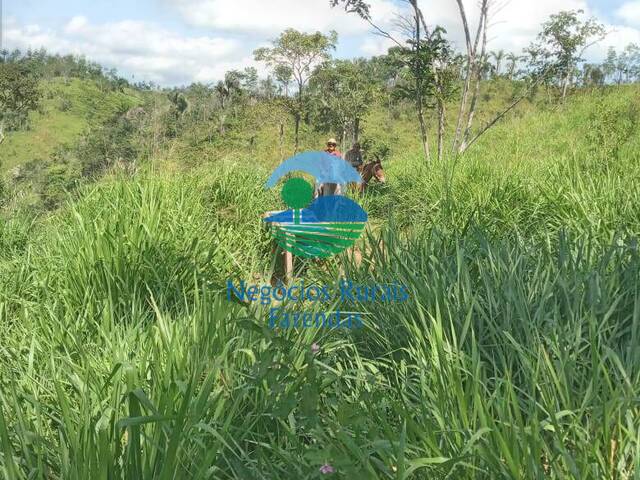 #227 - Fazenda para Venda em São Félix do Xingu - PA - 1