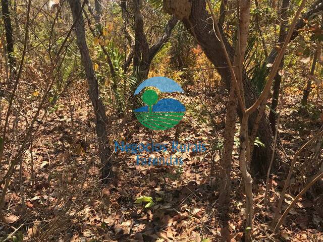 #234 - Fazenda para Venda em Palmeirópolis - TO - 3